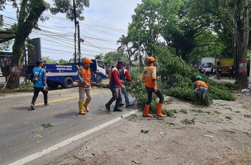 Lakukan Tindakan Preventif, DLH Cianjur Pangkas Pohon di Sepanjang Jalan Raya Bandung