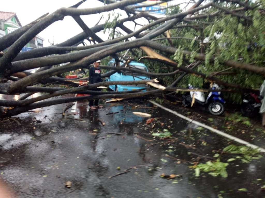Pohon Tumbang Kejalan, Satu Unit Angkum Tertimpa