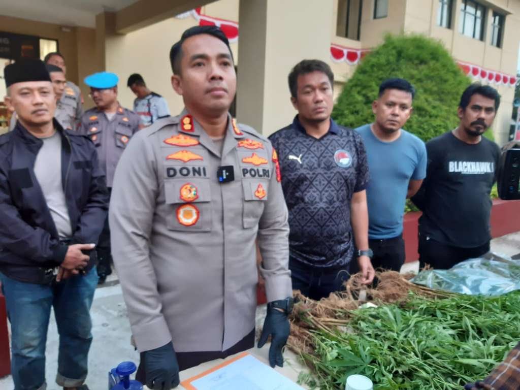 Jelang HJC, Warga Temukan Ladang Ganja