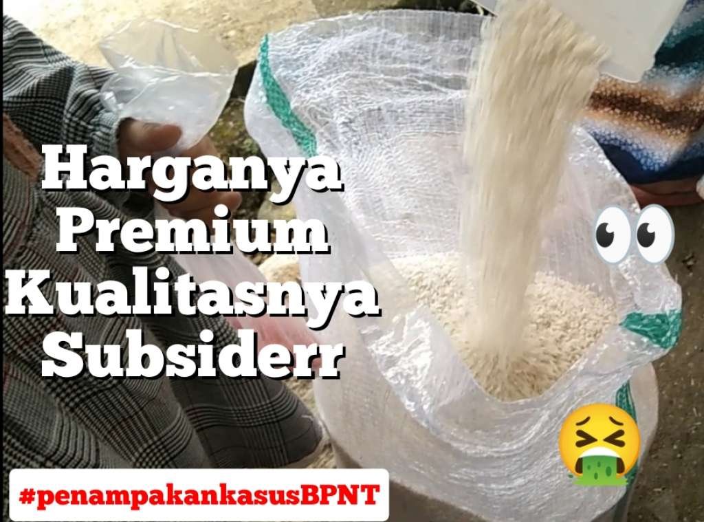 Harga Premium, Kualitas Beras BPNT Buruk